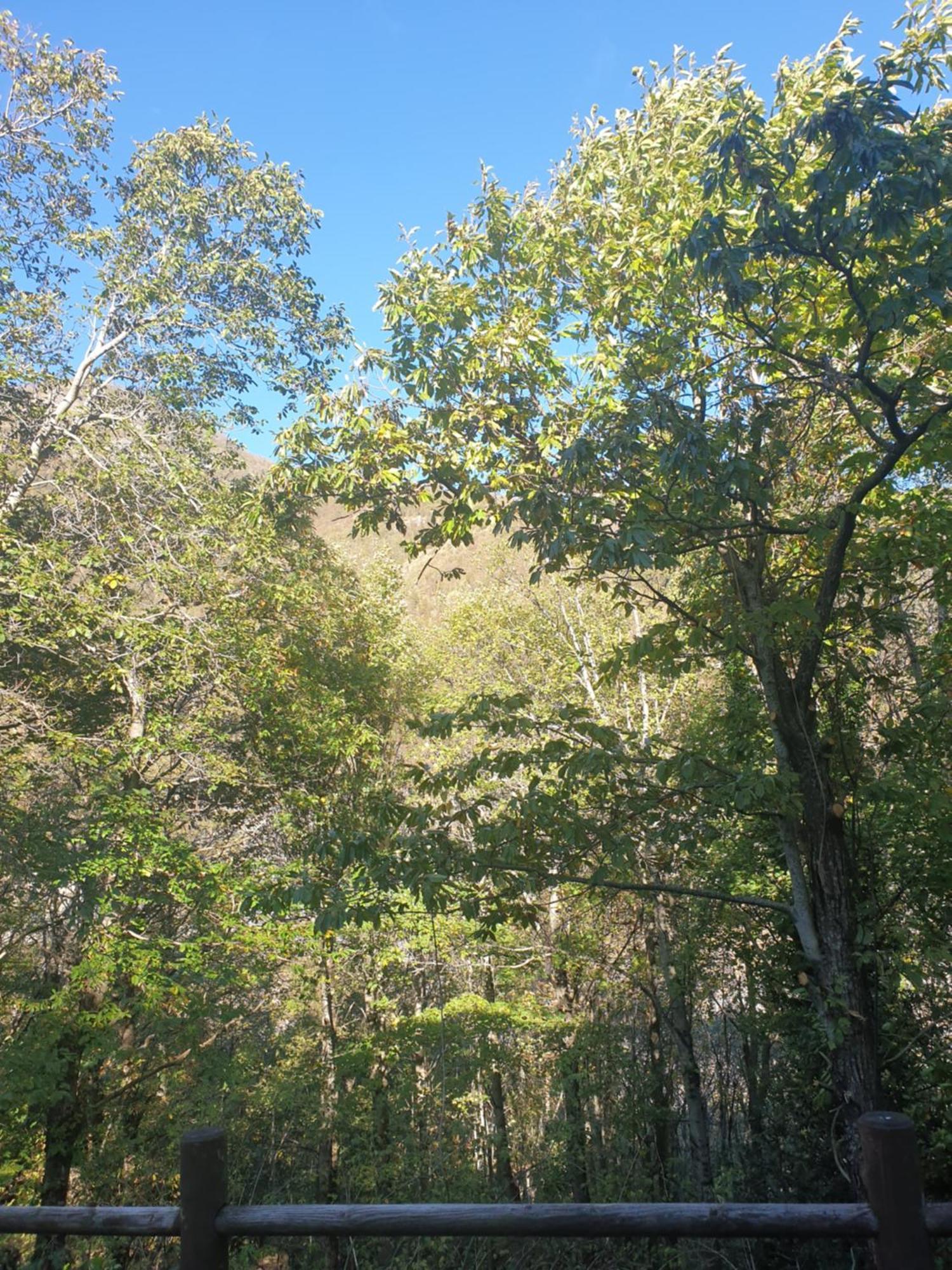 Locanda In Montagna Da Emili&Gabriel Лиццано-ин-Бельведере Экстерьер фото