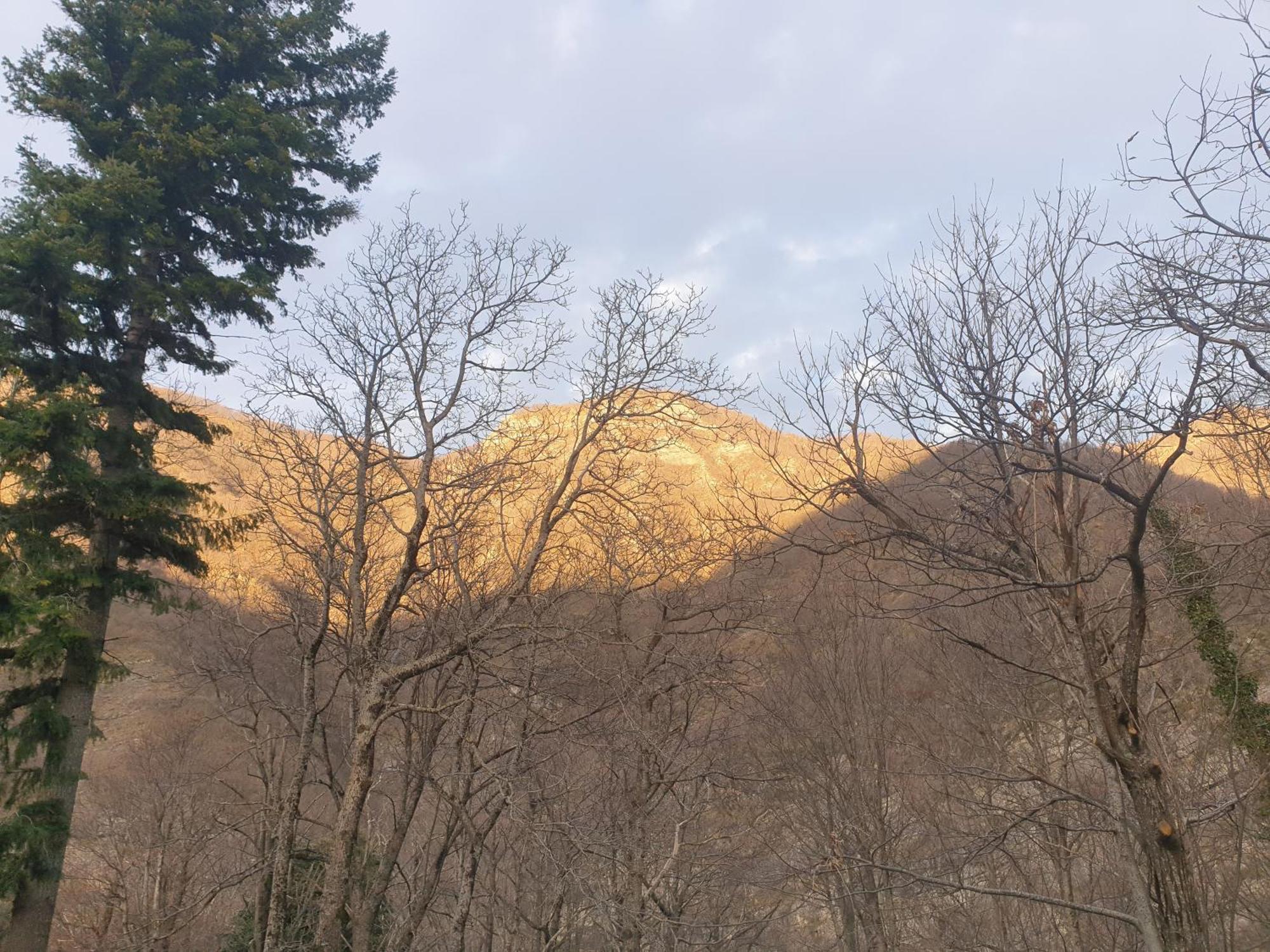Locanda In Montagna Da Emili&Gabriel Лиццано-ин-Бельведере Экстерьер фото
